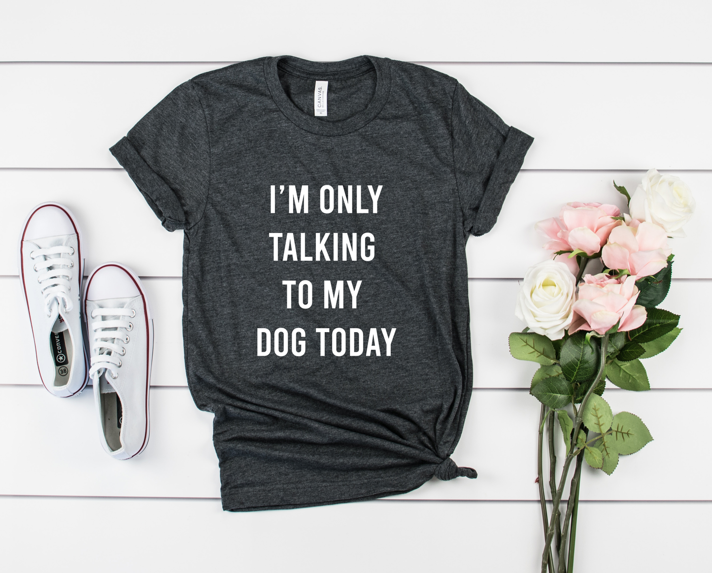 I'M ONLY TALKING TO MY DOG TODAY Bella+Canvas Premium Graphic Tee