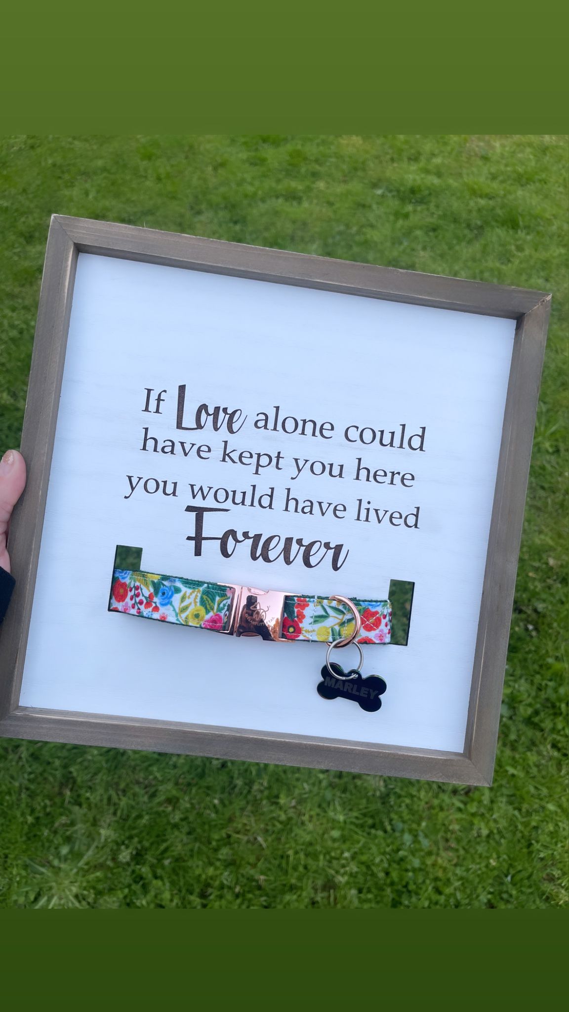 Dog Collar Remembrance