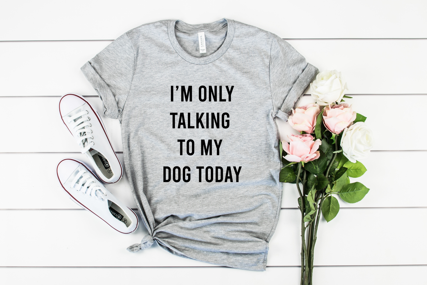 I'M ONLY TALKING TO MY DOG TODAY Bella+Canvas Premium Graphic Tee