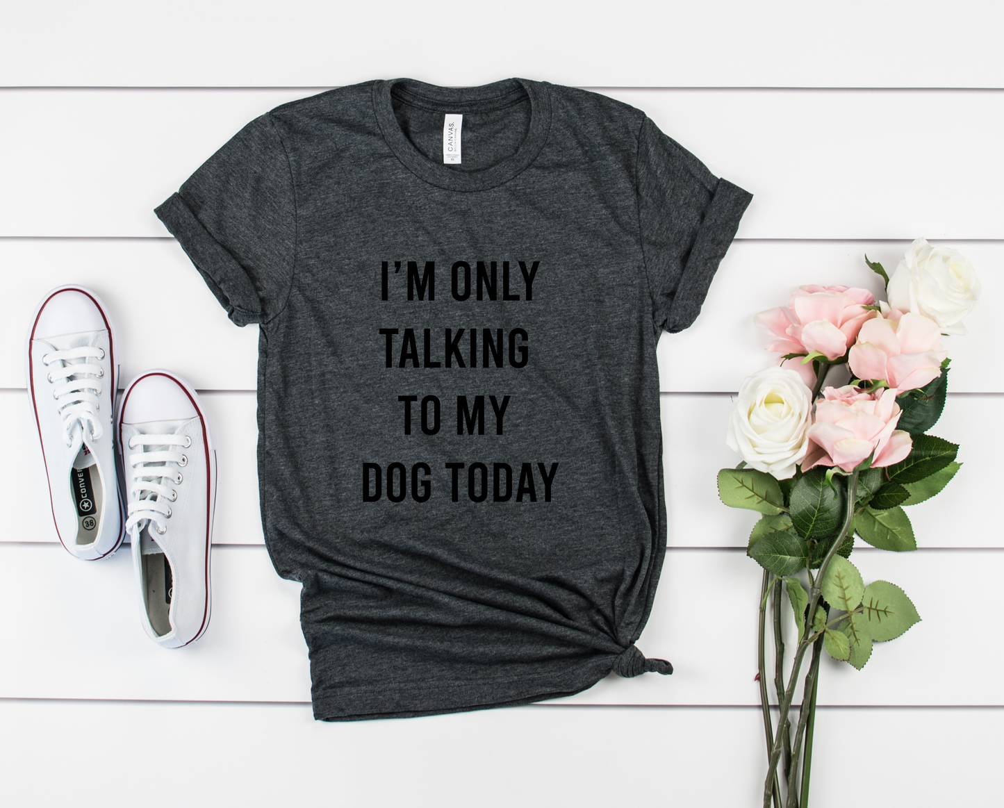 I'M ONLY TALKING TO MY DOG TODAY Bella+Canvas Premium Graphic Tee