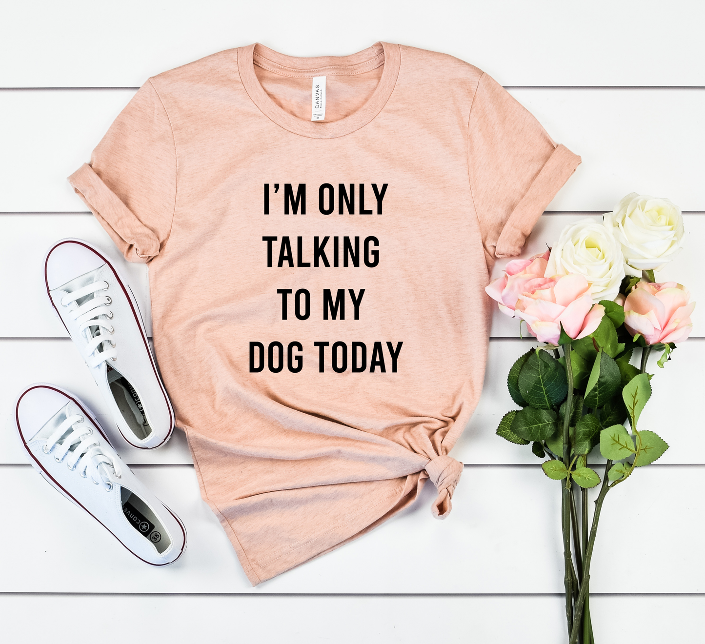 I'M ONLY TALKING TO MY DOG TODAY Bella+Canvas Premium Graphic Tee