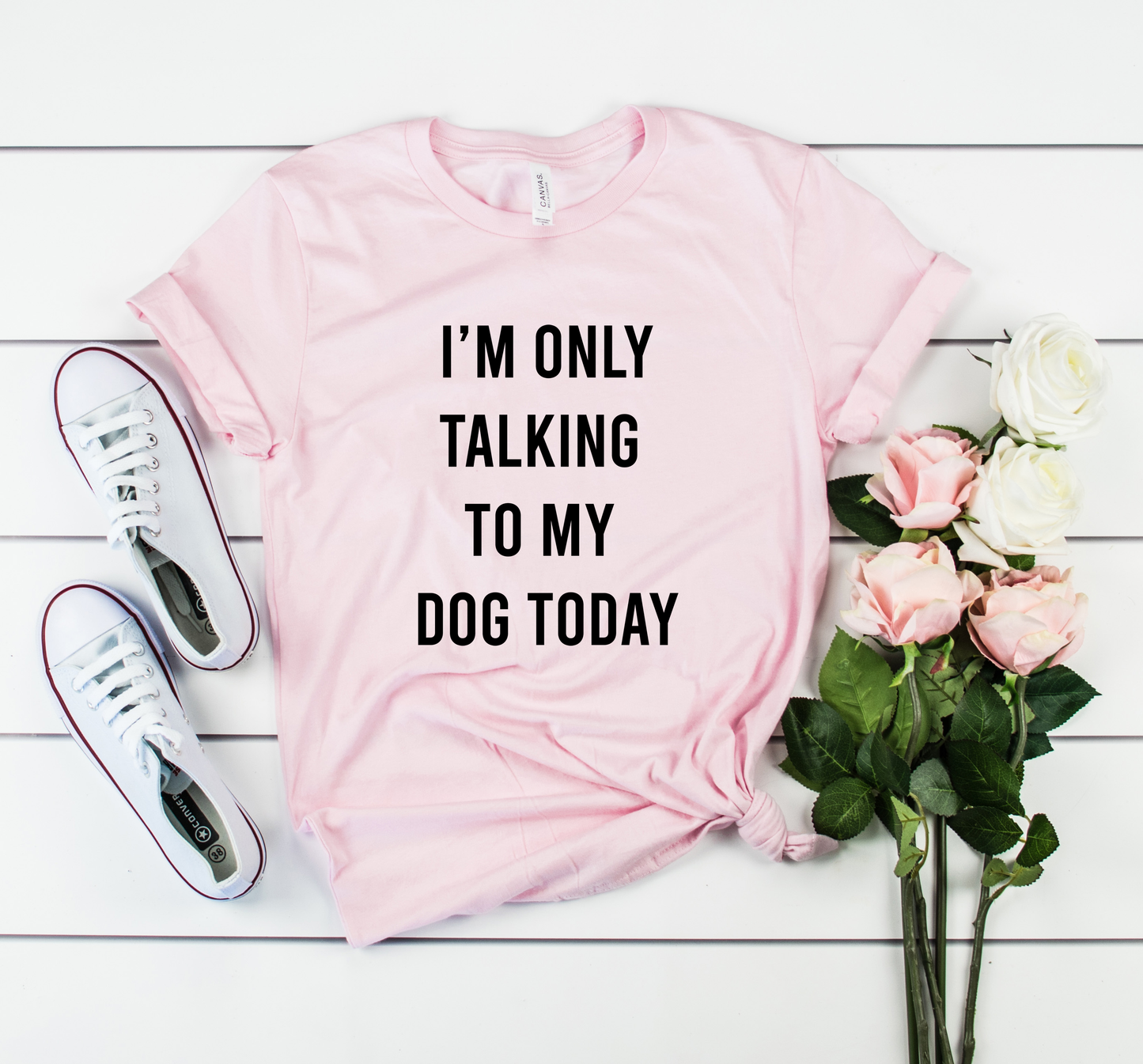 I'M ONLY TALKING TO MY DOG TODAY Bella+Canvas Premium Graphic Tee
